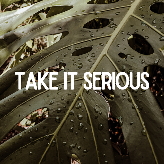 Are You Gambling or Trading?