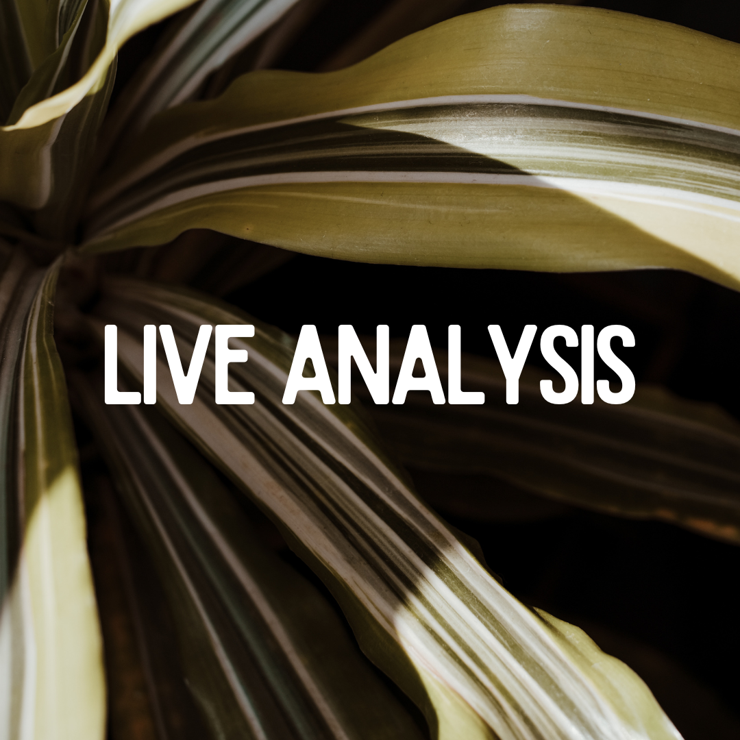 5/3/2024 Live US30 News Trade